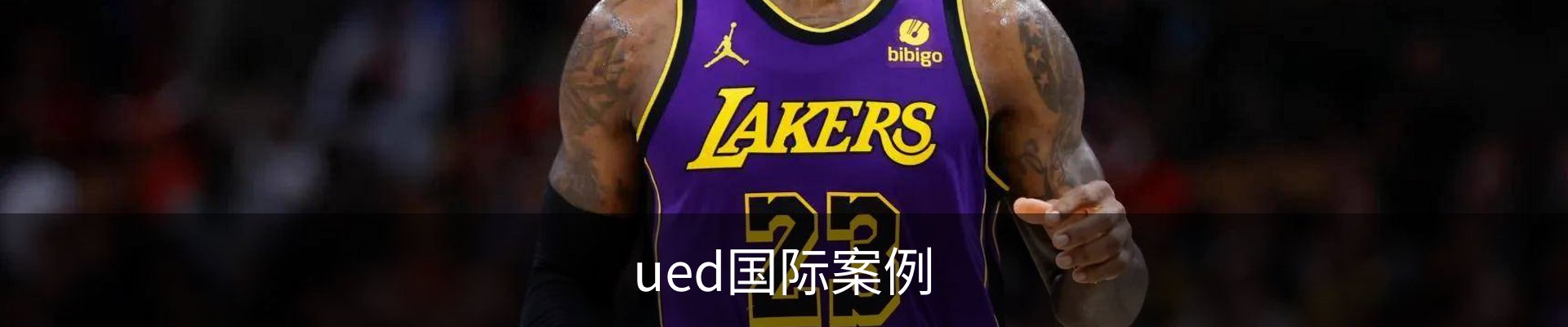 ued国际案例